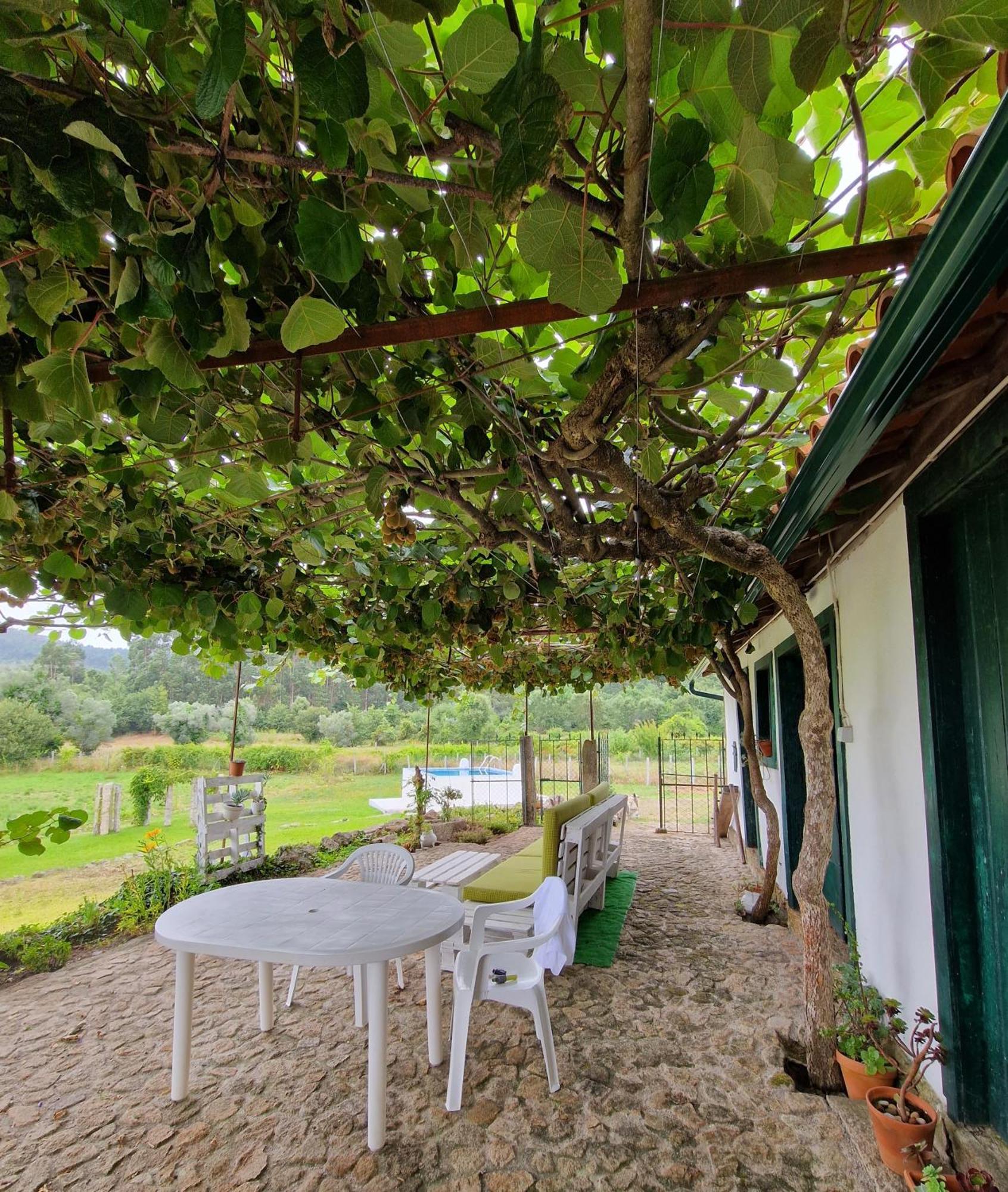 فيلا Casa Do Pinheiro Manso فالينسا المظهر الخارجي الصورة