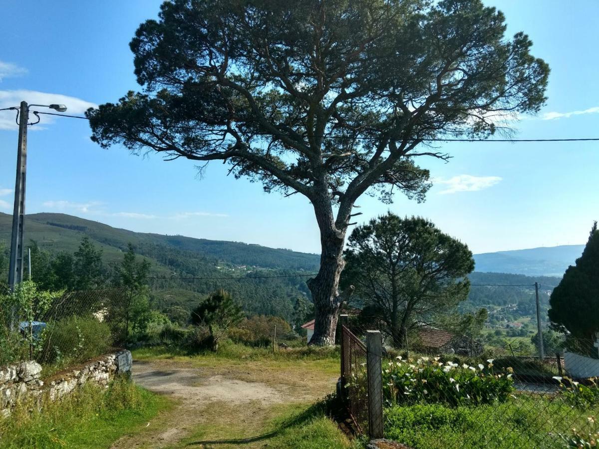 فيلا Casa Do Pinheiro Manso فالينسا المظهر الخارجي الصورة